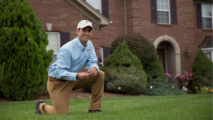 Cover photo of Lawn Doctor of Frederick